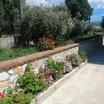 فيلة Pulo *